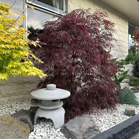 The Airport Homestay House Christchurch Zewnętrze zdjęcie