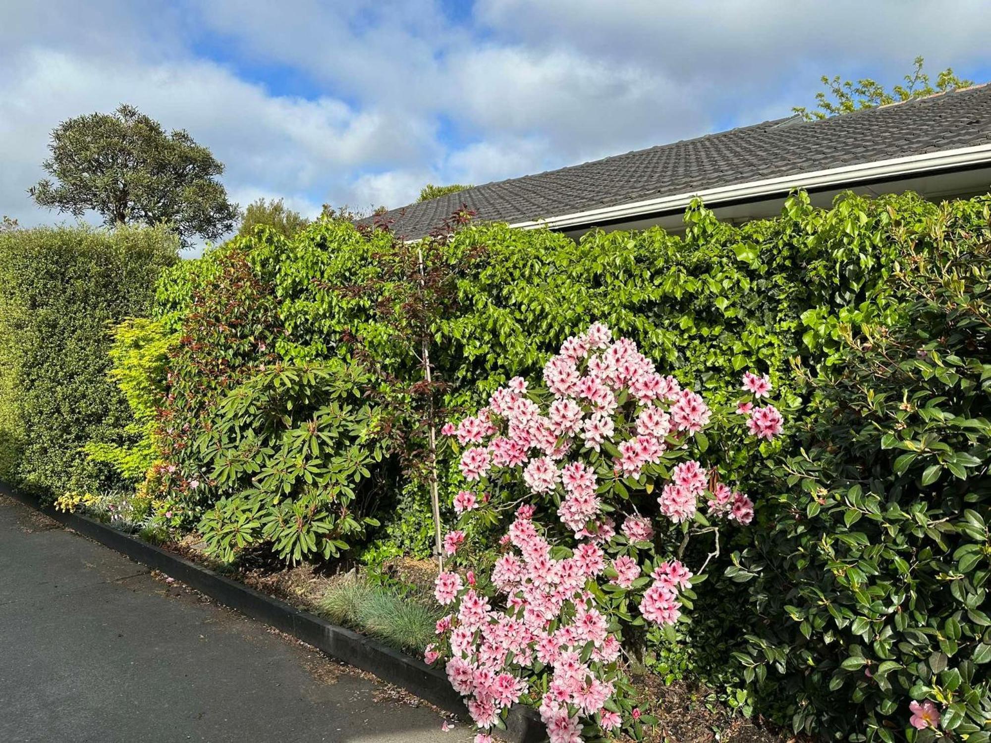 The Airport Homestay House Christchurch Zewnętrze zdjęcie
